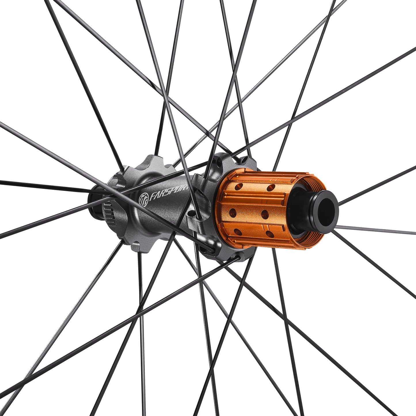 2025 C Series Wheelsets